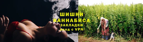 стаф Нефтегорск