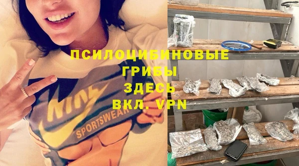 стаф Абаза