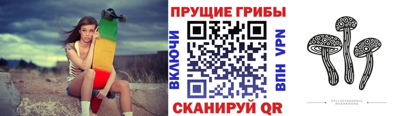 Галлюциногенные грибы Psilocybe  Астрахань 