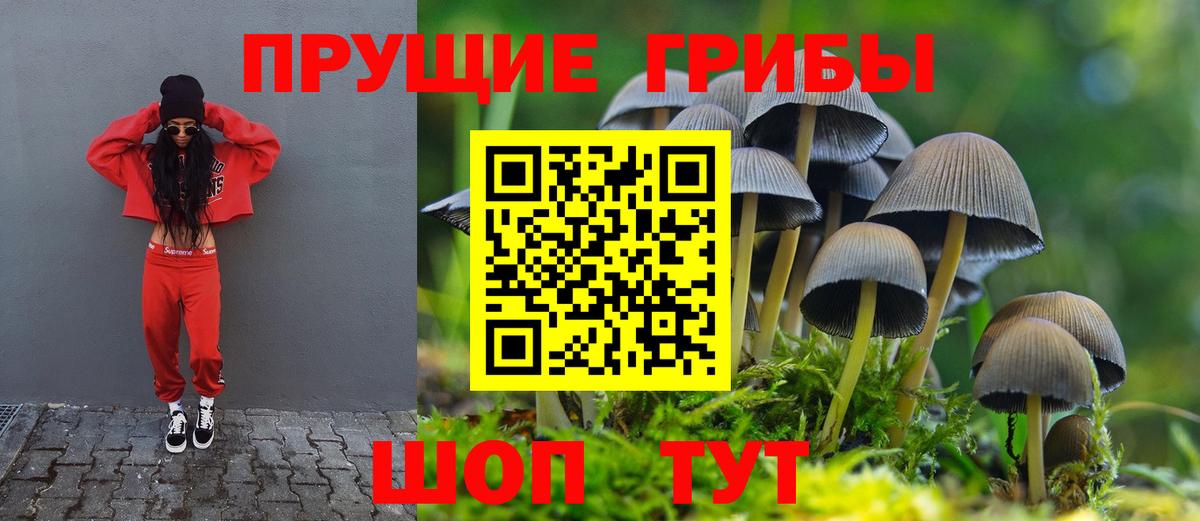 Астрахань  Галлюциногенные грибы прущие грибы  Вход с VPN 